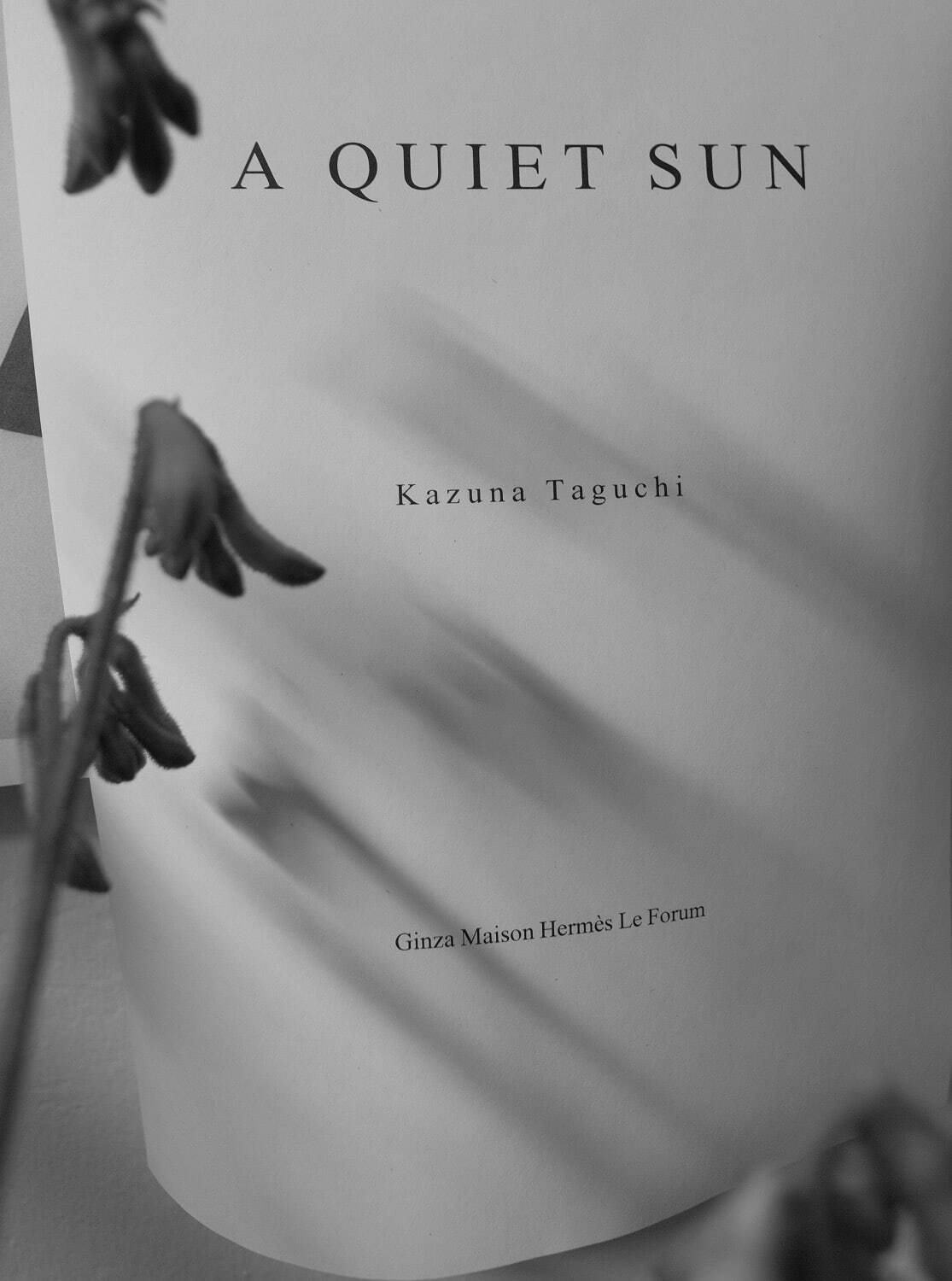 展覧会「A Quiet Sun」のための構想　2022年　ゼラチン・シルバー・プリント　サイズ未定
Courtesy of the artist