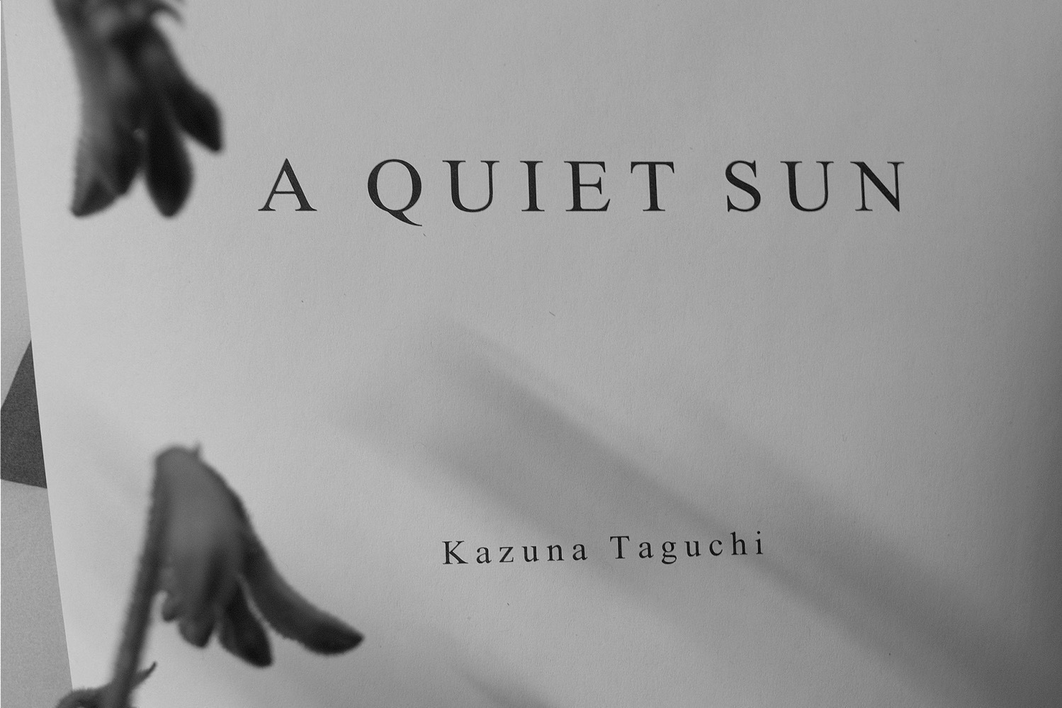 「A Quiet Sun」田口和奈展が銀座メゾンエルメス フォーラムで、記憶が息づく“イメージの空間”