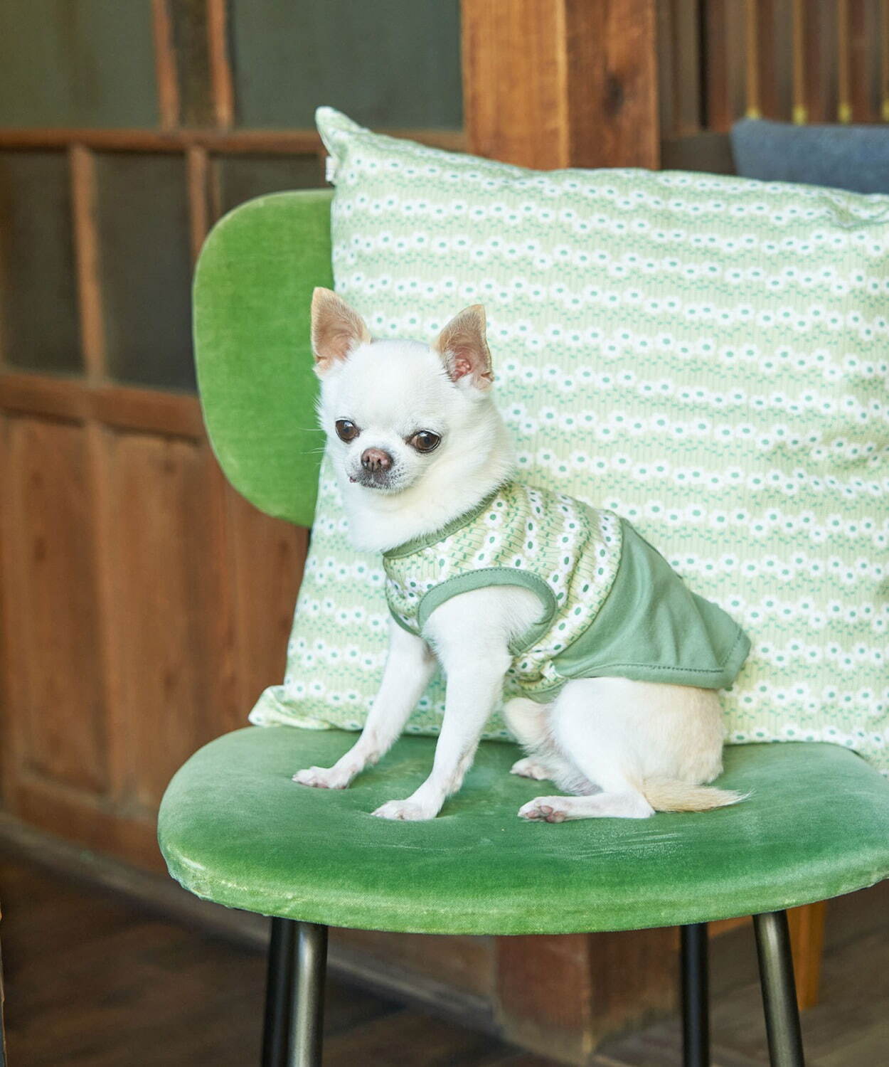 ロペピクニック×アデリアレトロから“レトロ食器”柄のワンピースやセットアップ、ドッグウェアも｜写真9