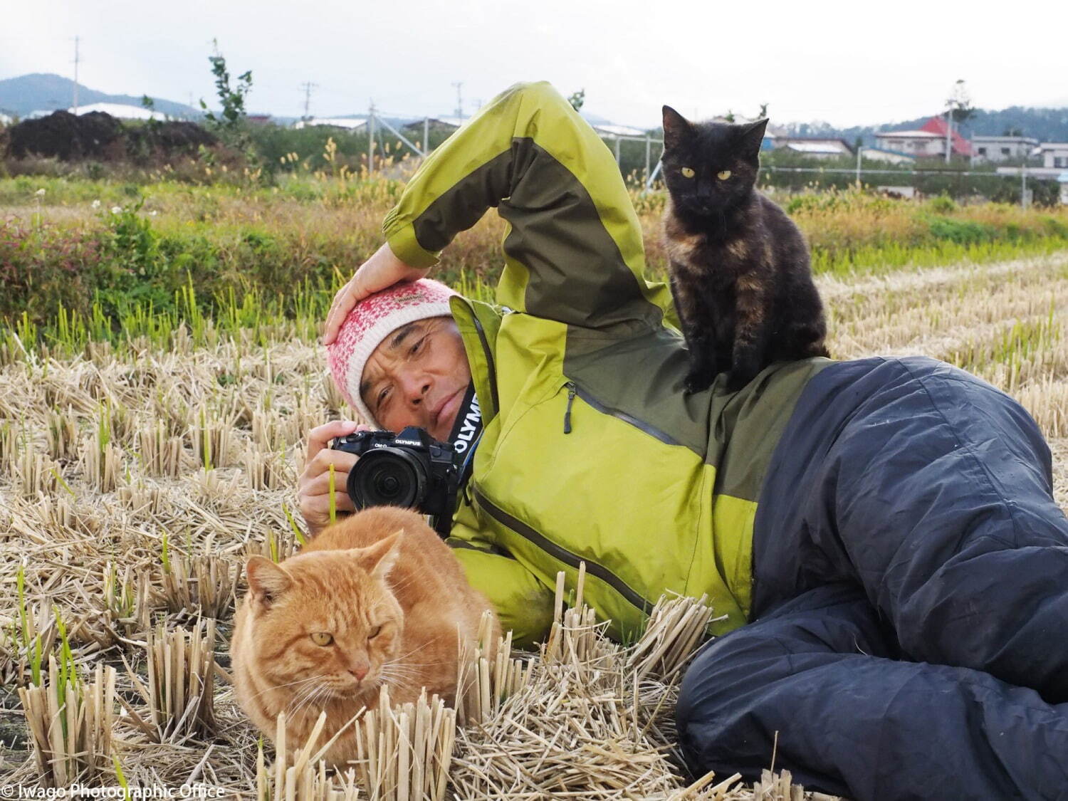 岩合光昭“猫”を写した2つの写真展、角川武蔵野ミュージアムで - 愛くるしい「こねこ」＆世界のネコ｜写真6