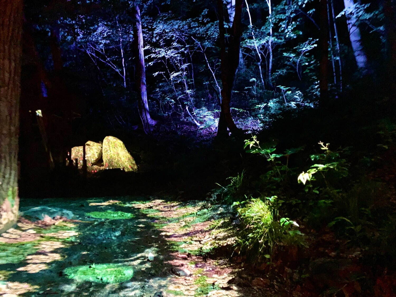 北海道・定山渓温泉のライトアップイベント、自然と光が融合する幻想的なナイトウォーク｜写真2