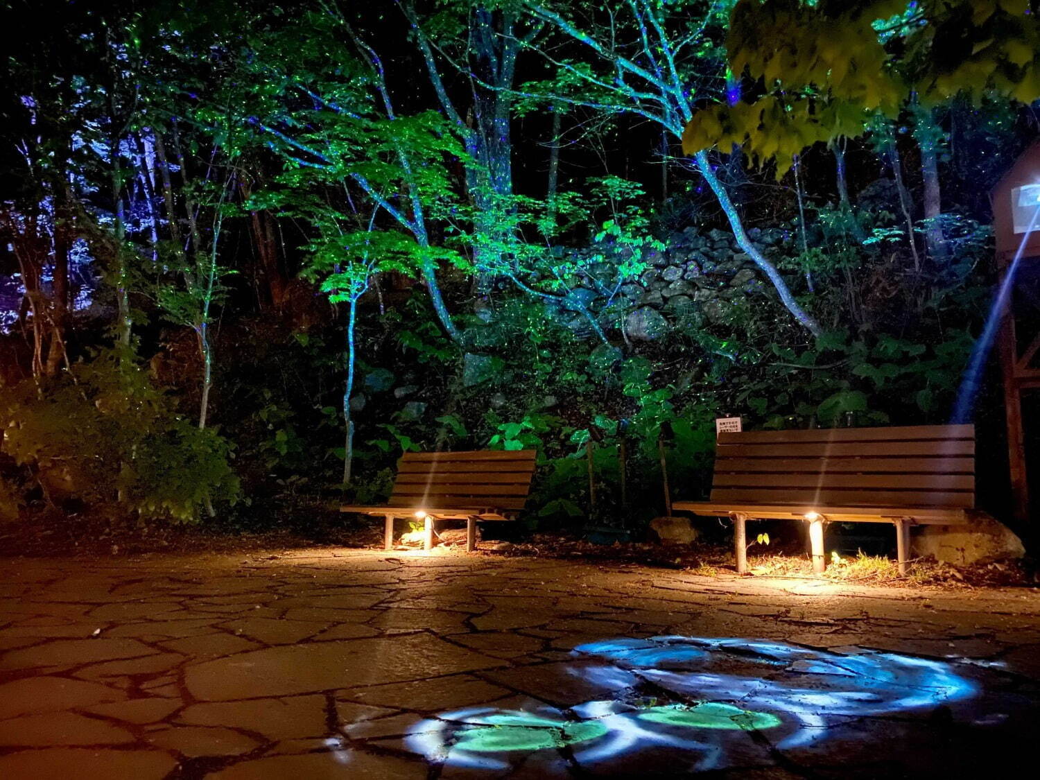 北海道・定山渓温泉のライトアップイベント、自然と光が融合する幻想的なナイトウォーク｜写真5