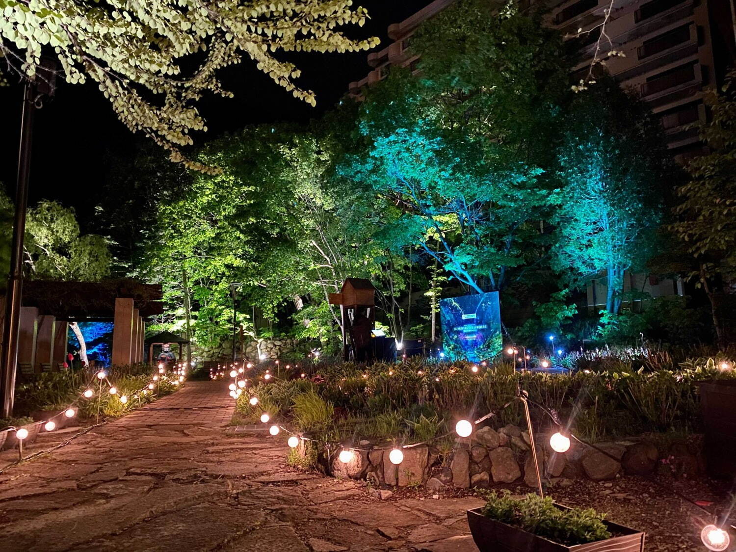 北海道・定山渓温泉のライトアップイベント、自然と光が融合する幻想的なナイトウォーク｜写真3