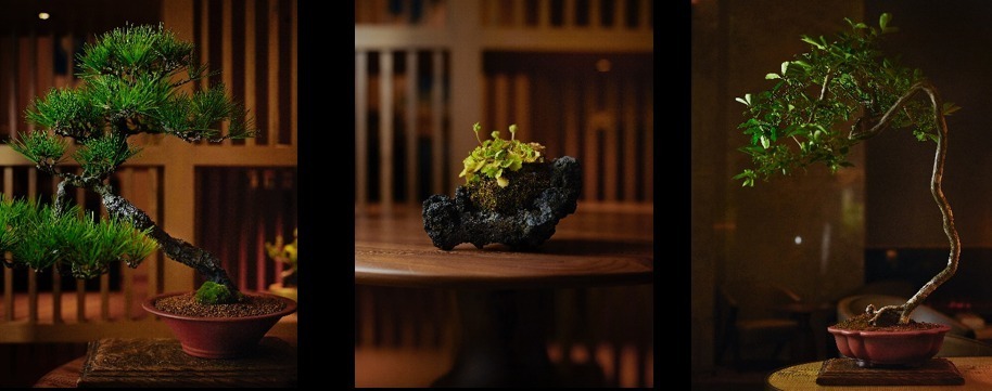 JWマリオット・ホテル奈良“新緑”アフタヌーンティー、最高品質の緑茶を用いたスイーツ＆お茶のコース｜写真3
