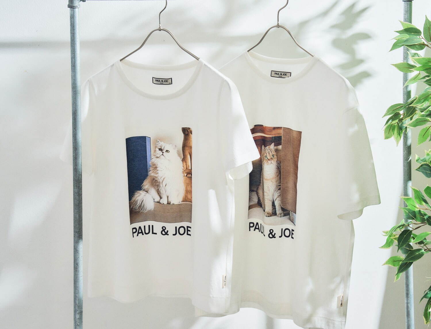 フォトプリントTシャツ 5,500円、メンズサイズ 6,050円