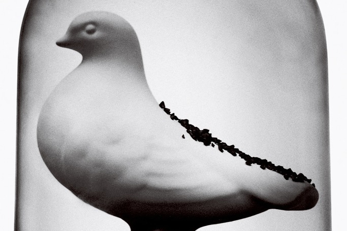 企画展「日本のグラフィックデザイン2022」東京ミッドタウンで、ポスターやパッケージなど約300点