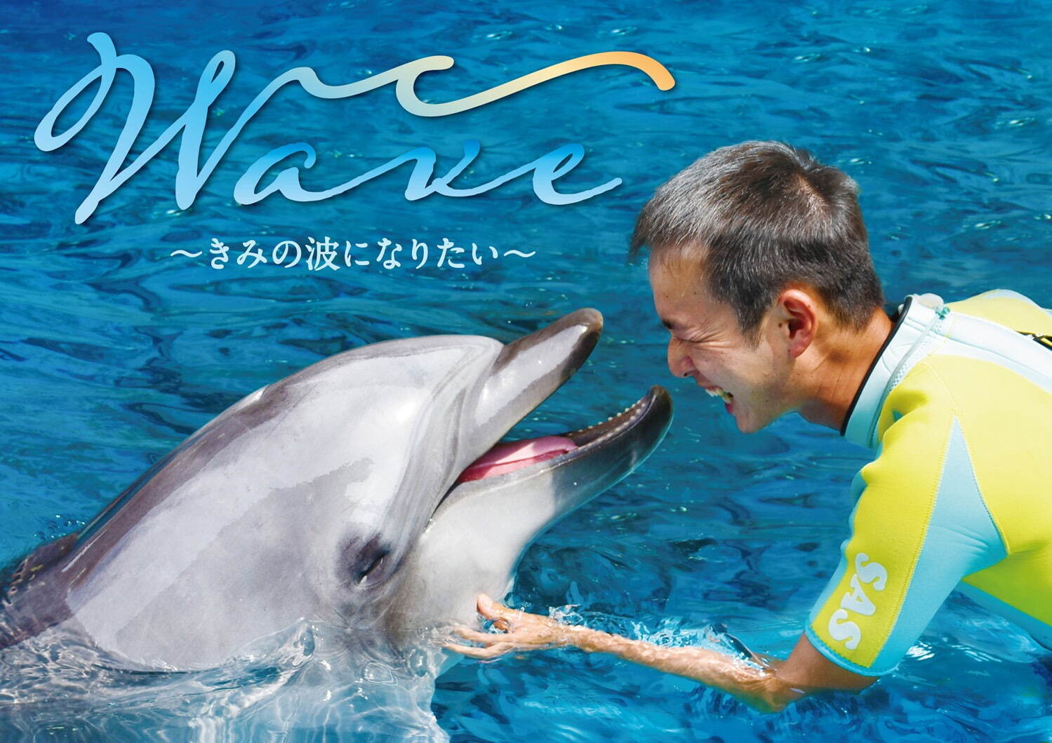 新江ノ島水族館の新イルカショー「Wave ~きみの波になりたい~」えの