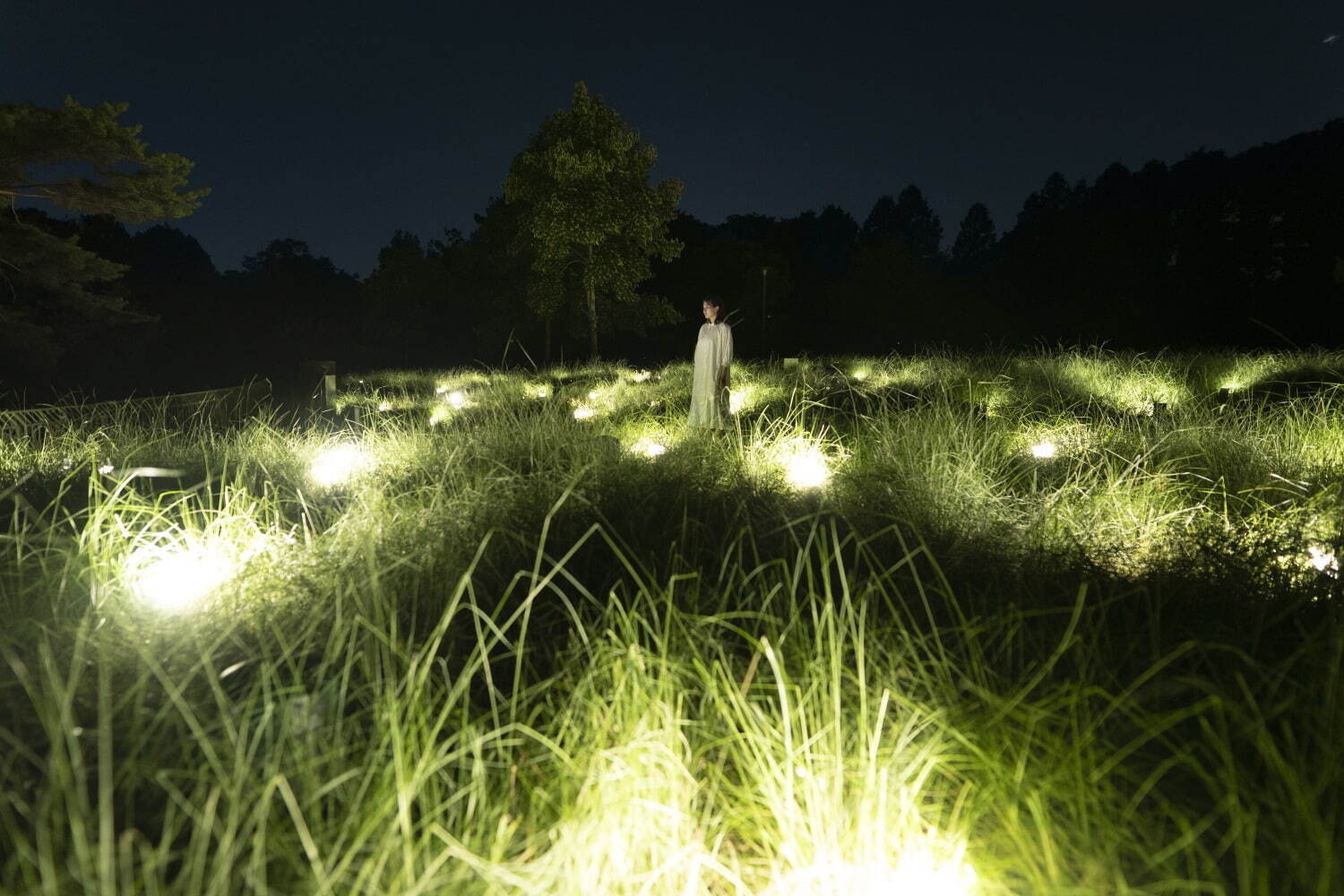 「チームラボ ボタニカルガーデン 大阪」大阪・長居植物園が夜間限定でアート空間に変貌｜写真5