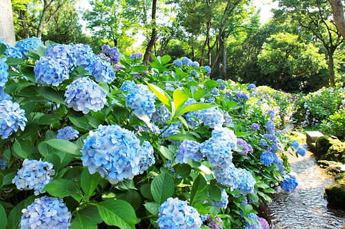 夏イベント