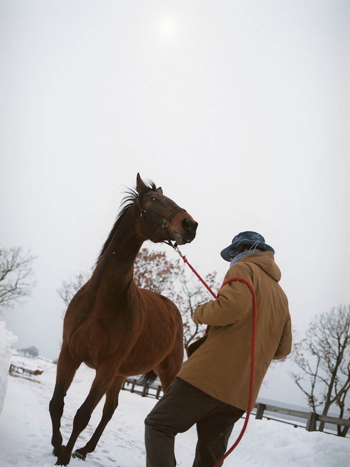 フォトコピュー(PHOTOCOPIEU) 2022-23年秋冬ウィメンズコレクション  - 写真11