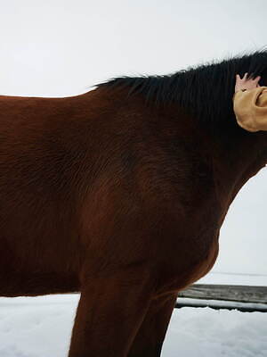 フォトコピュー(PHOTOCOPIEU) 2022-23年秋冬ウィメンズコレクション  - 写真3