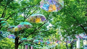 傘 ヒグチユウコ 韓国限定 秘密の森 アンブレラ　seacret forest ヒグチユウコ - 韓国 secret forest ヒグチユウコ 韓国限定 傘の