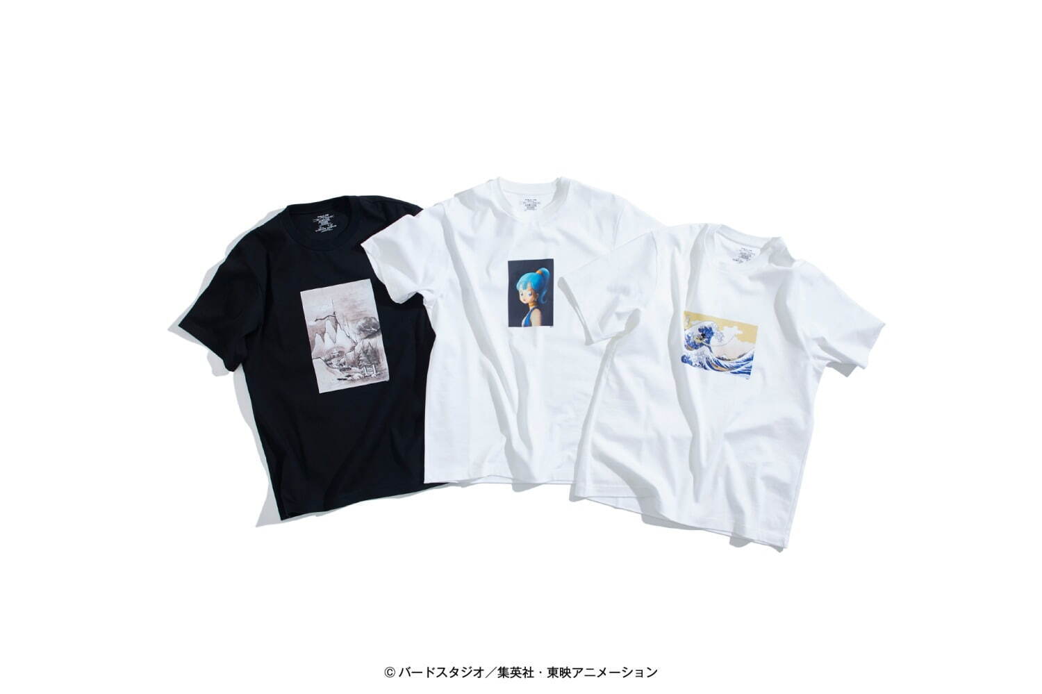 public tokyo ドラゴンボール　山水画悟空　Tシャツ　size2 Tシャツ/カットソー(半袖/袖なし) 品揃え豊富で
