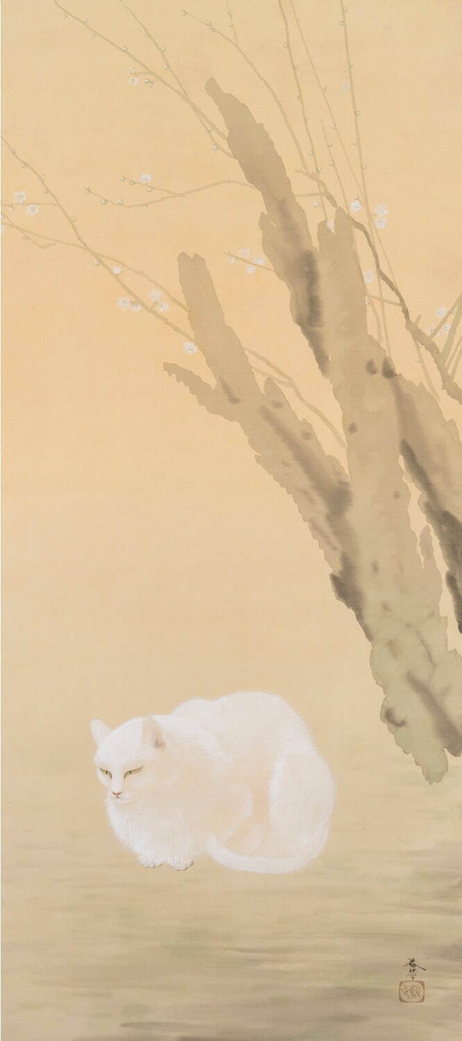 菱田春草《梅下白猫》福田美術館蔵［通期展示］