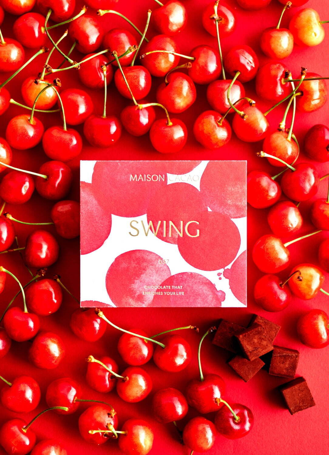 アロマ生チョコレートSWING 3,024円