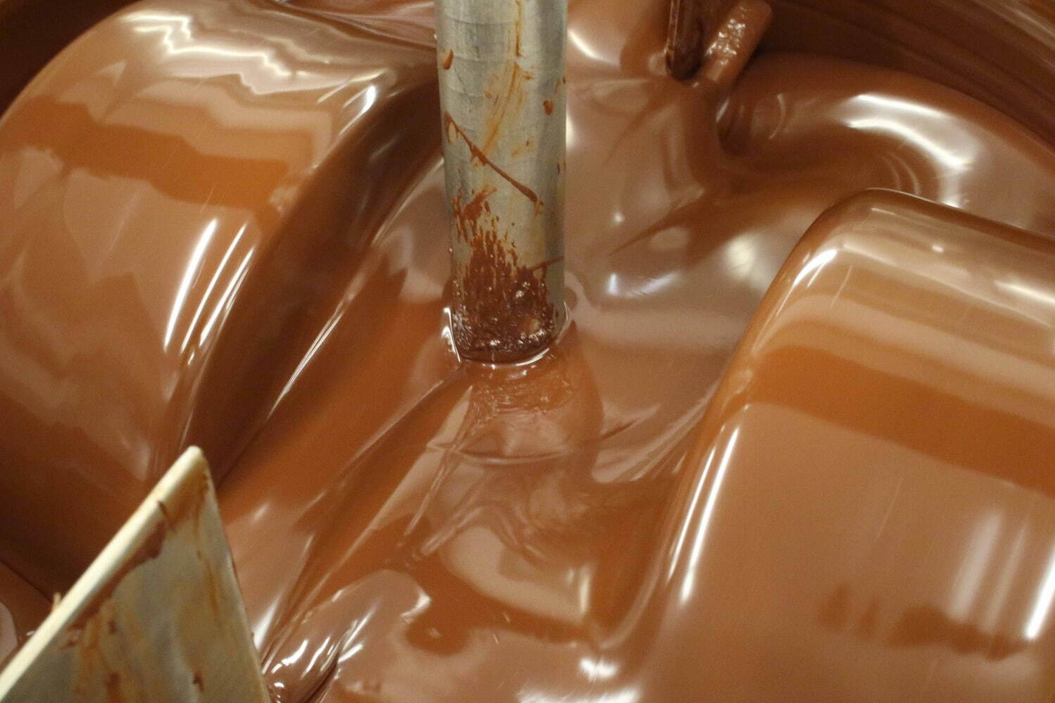 ダンデライオン・チョコレート新作チョコレートバー、ほのかに甘いキャラメルフレーバー｜写真5