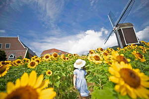 長崎・ハウステンボス「サマーフェスティバル」ナイトプール＆巨大スライダー、打ち上げ花火も｜写真10