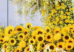 長崎・ハウステンボス「サマーフェスティバル」ナイトプール＆巨大スライダー、打ち上げ花火も｜写真13