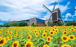 長崎・ハウステンボス「サマーフェスティバル」ナイトプール＆巨大スライダー、打ち上げ花火も｜写真11