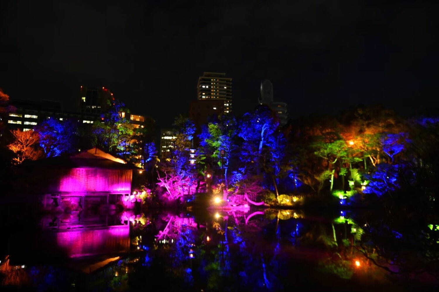 庭園｜「神戸カルチャーナイト in 相楽園 vol.2」重要文化財を照らすライトアップ＆ナイトマーケット