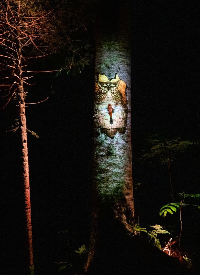 「阿寒湖の森ナイトウォーク カムイルミナ」北海道の大自然×デジタルアートを夜散歩、動物と巡る冒険物語｜写真21