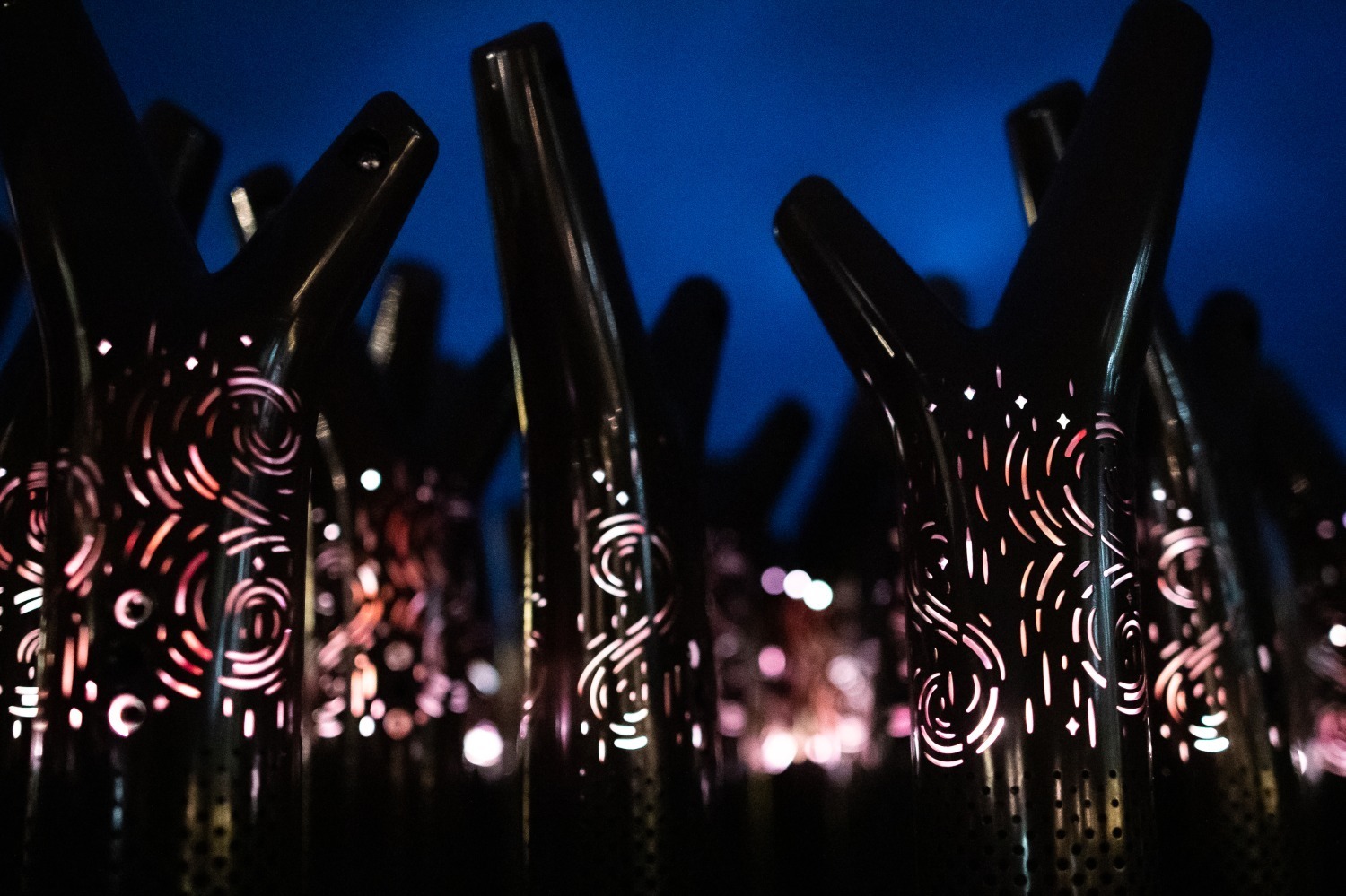 「阿寒湖の森ナイトウォーク カムイルミナ」