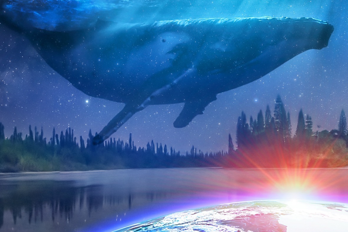 コニカミノルタプラネタリウム満天 in Sunshine City「水の惑星 -星の旅シリーズ-」