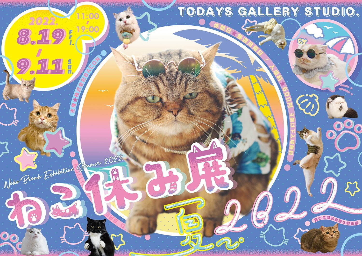 猫の合同写真展＆物販展「ねこ休み展 夏 2022」“ねこまみれ”癒しの猫の祭典が東京・浅草橋で｜写真18