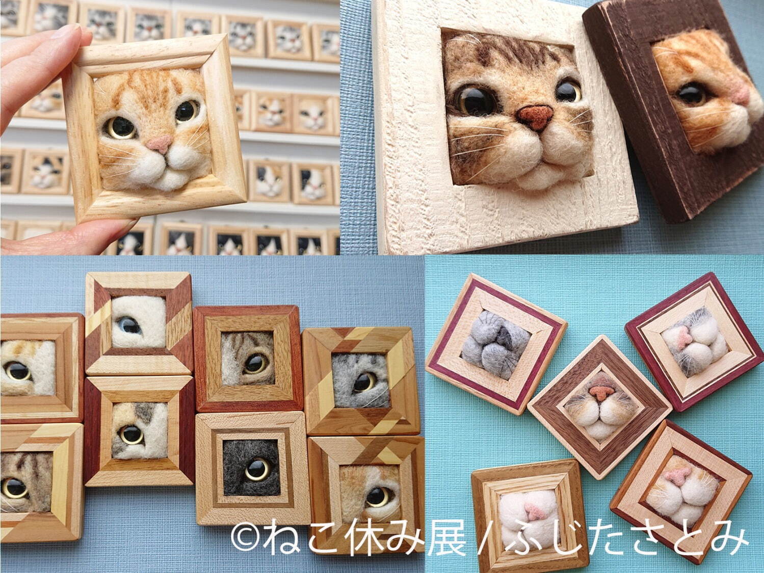 猫の合同写真展＆物販展「ねこ休み展 夏 2022」“ねこまみれ”癒しの猫の祭典が東京・浅草橋で｜写真15