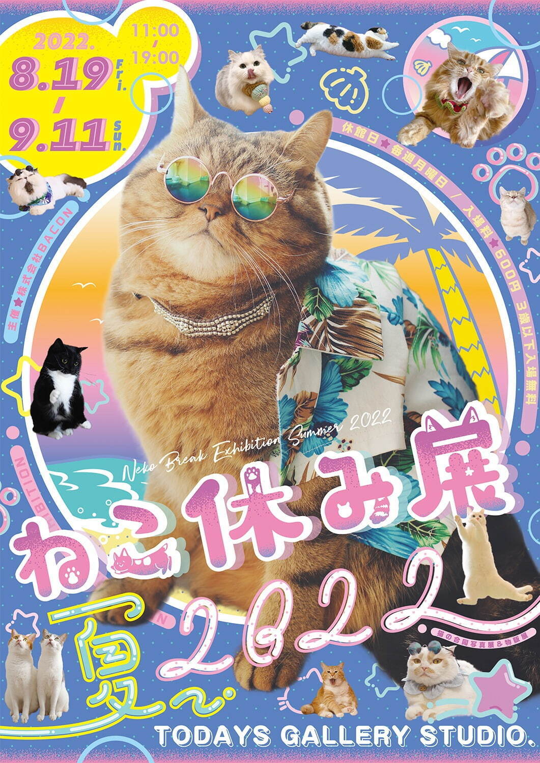 猫の合同写真展＆物販展「ねこ休み展 夏 2022」“ねこまみれ”癒しの猫の祭典が東京・浅草橋で｜写真17