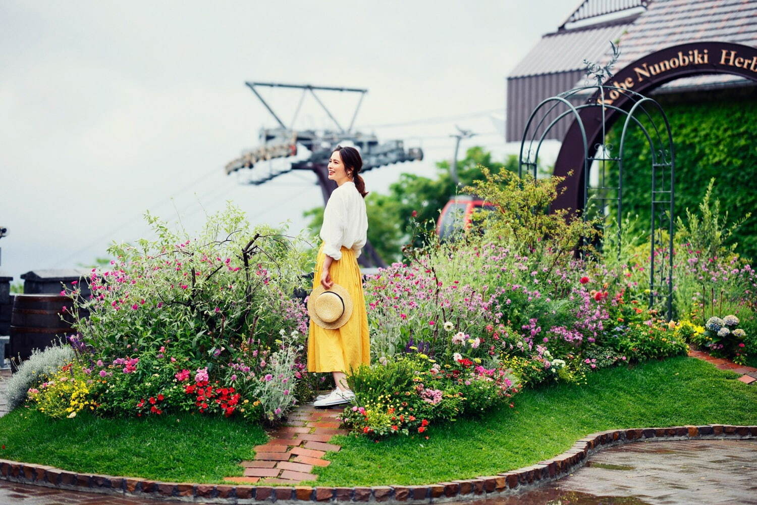 神戸布引ハーブ園「アジサイ」が見頃に、約1,500株の紫陽花が花咲く春のフラワーイベント｜写真18
