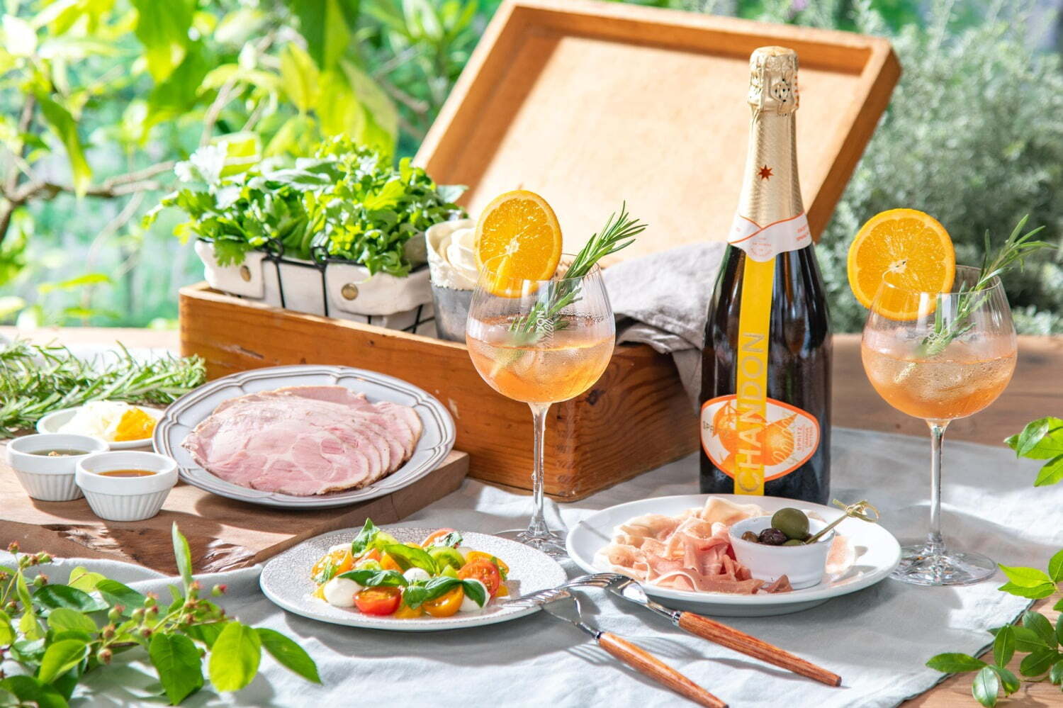 スパークリングワイン「シャンドン」東京ミッドタウンに限定ガーデン、シャンドントッピングの大人のかき氷