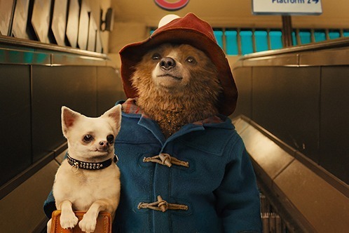 児童文学｜映画『パディントン3』次の舞台はペルー？！監督にドゥーガル・ウィルソンが初参加