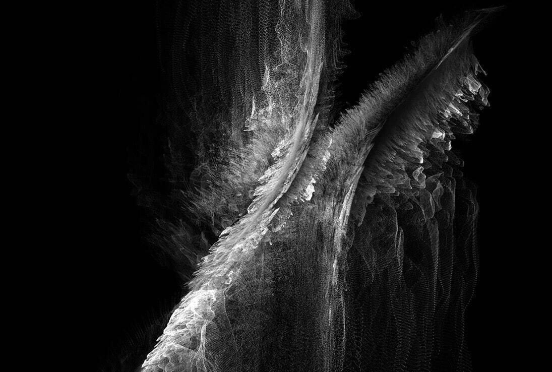 木本圭子《INSIDE》2009年 東京都写真美術館蔵