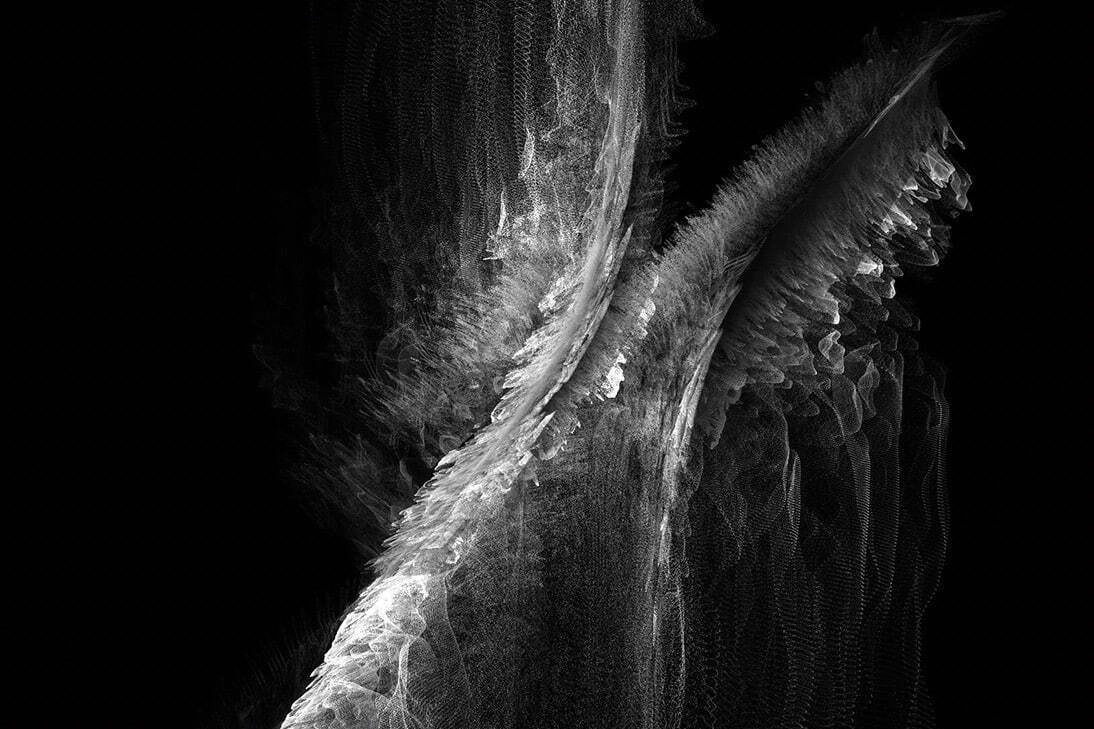 恵比寿ガーデンプレイス｜「イメージ・メイキングを分解する」東京都写真美術館で、既存の技術の使い方を超えたイメージ生成の試み