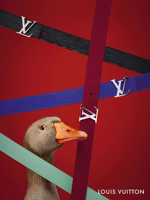 ルイ・ヴィトン(LOUIS VUITTON) PASS｜写真3