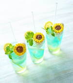 “ひまわり”モチーフのクリームソーダやチーズケーキ、サンデーブランチ下北沢＆吉祥寺で｜写真10