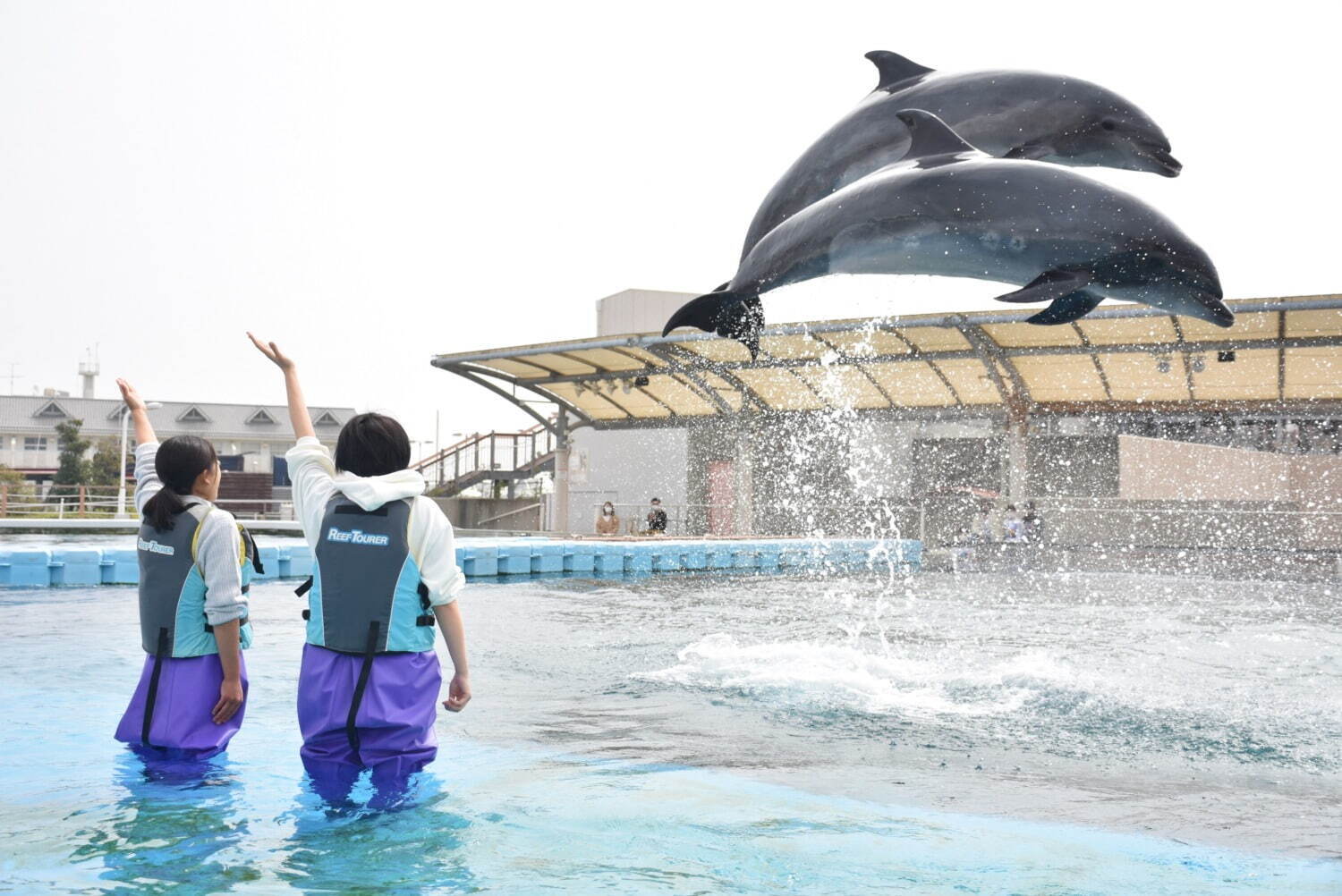 横浜・八景島シーパラダイス「サマースプラッシュフェス」ずぶ濡れスプラッシュ演出やイルカと泳ぐ特別体験｜写真8