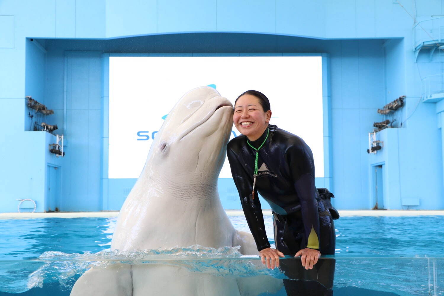 横浜・八景島シーパラダイス「サマースプラッシュフェス」ずぶ濡れスプラッシュ演出やイルカと泳ぐ特別体験｜写真3