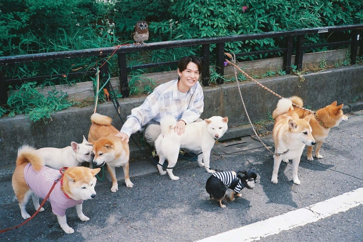 Tempalay藤本夏樹の最新EP『pure？』自然体な表現を追求した全5曲