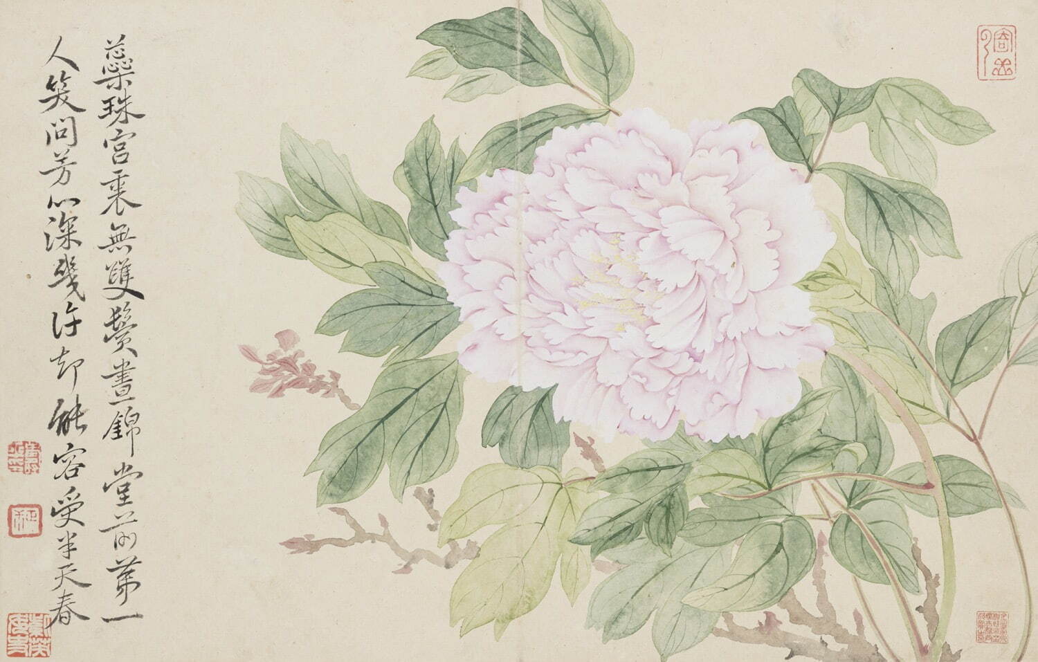 《花卉図冊》惲寿平 一冊 清時代 17世紀 大阪市立美術館
［展示期間 9月14日(水)〜10月10日(月・祝)］