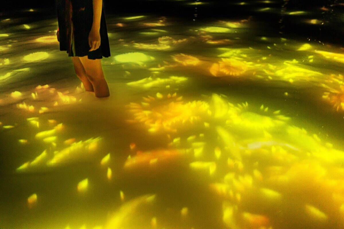 「チームラボプラネッツ」“ひまわり”が咲き渡る夏限定作品、東京・豊洲の“水に入る”アートミュージアム｜写真3