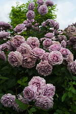 ミュベール 2023年リゾートコレクション - 牧歌的な風景を重ねて｜写真16