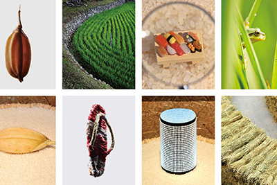 「デザインあ展」佐藤卓ディレクションによる「コメ展」