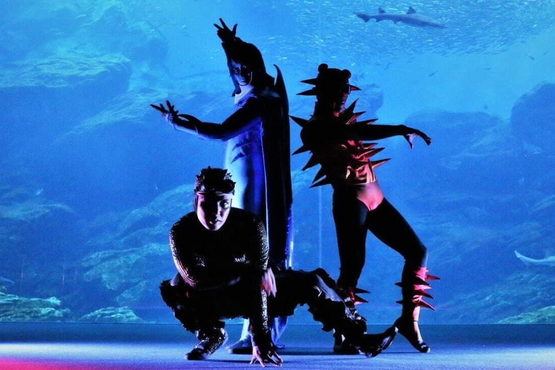 アクアリウム｜仙台うみの杜水族館のナイトアクアリウムシアター「シートピア」夜の水族館でイルカ×ダンス×光のショー