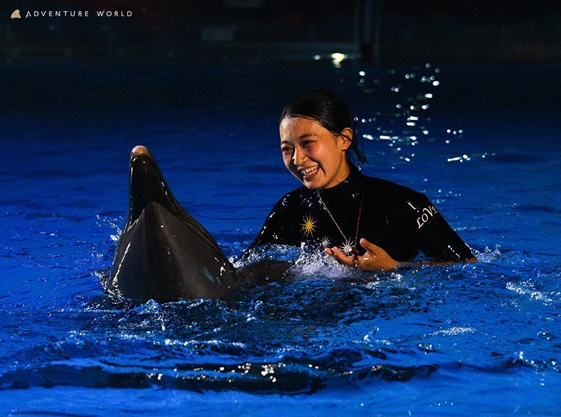 和歌山・アドベンチャーワールドで夜間特別営業、夜の動物たちに迫るナイトサファリツアー｜写真5