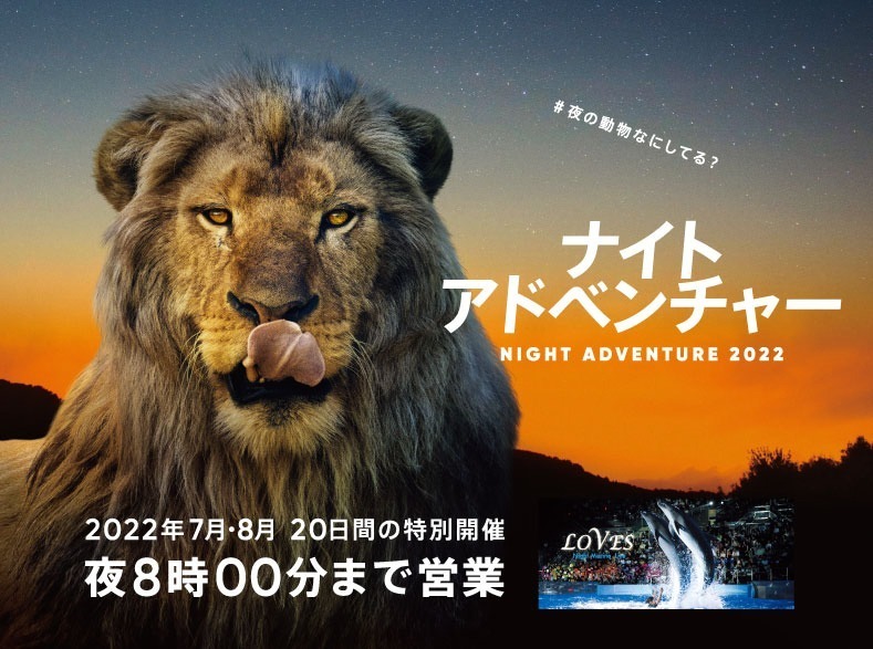 和歌山・アドベンチャーワールドで夜間特別営業、夜の動物たちに迫るナイトサファリツアー|写真1