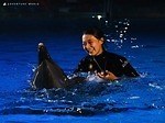 和歌山・アドベンチャーワールドで夜間特別営業、夜の動物たちに迫るナイトサファリツアー｜写真5