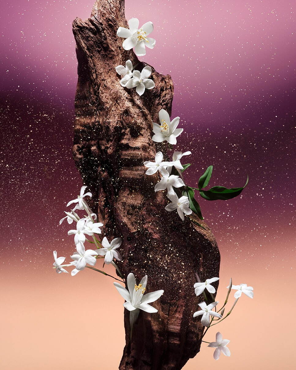 ルイ・ヴィトン(LOUIS VUITTON) 砂漠に咲く花｜写真5