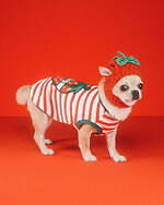 グッチ(GUCCI) ペットコレクション｜写真2